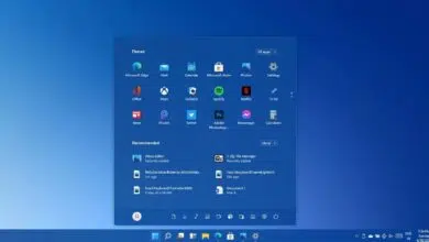 Windows 11'e Nasıl Google Play Store Kurulur?