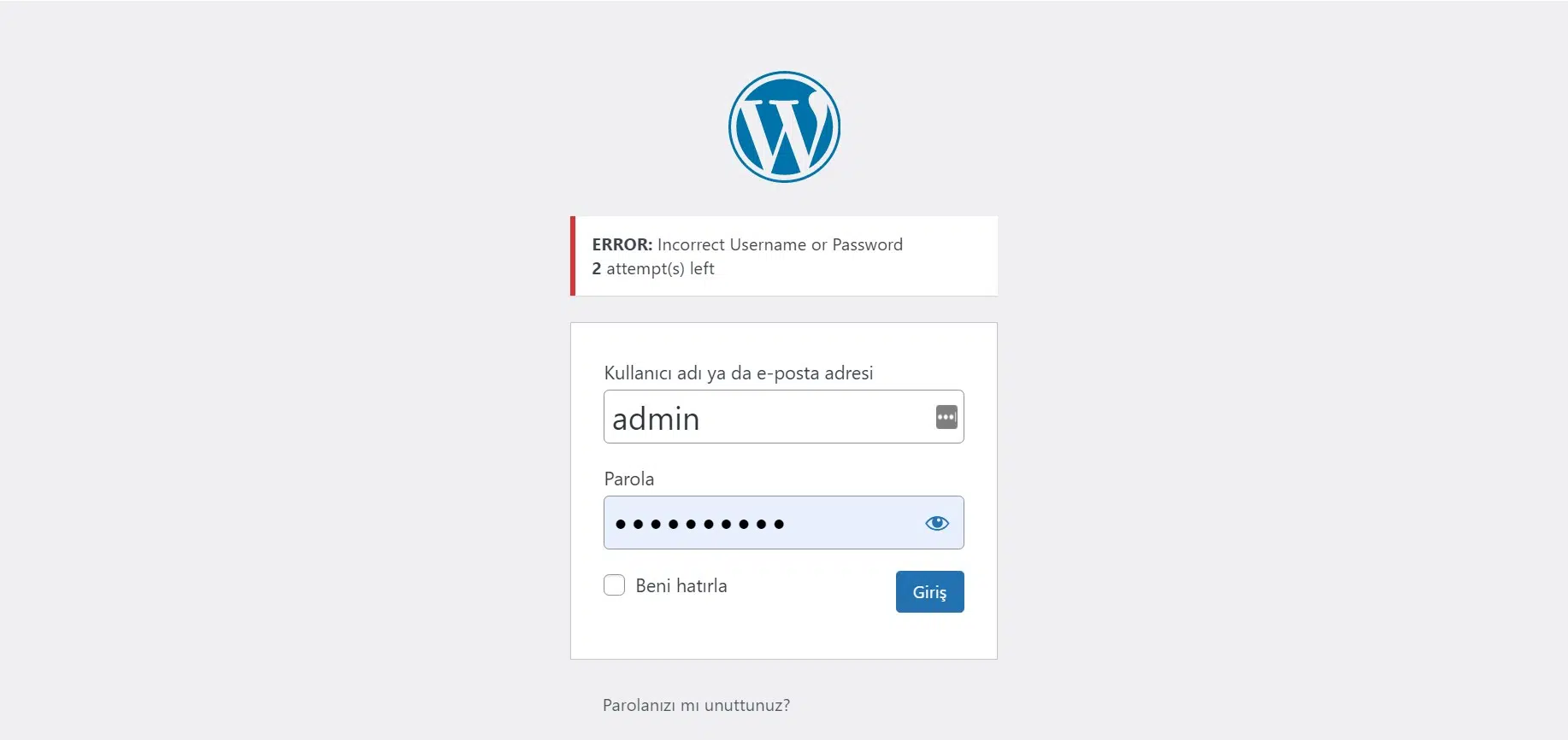 Wordpress Admin Girişi Nasıl Yapılır?