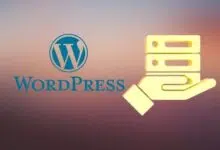 Wordpress Hosting Nedir, Hangi Hosting Tercih Edilmeli?