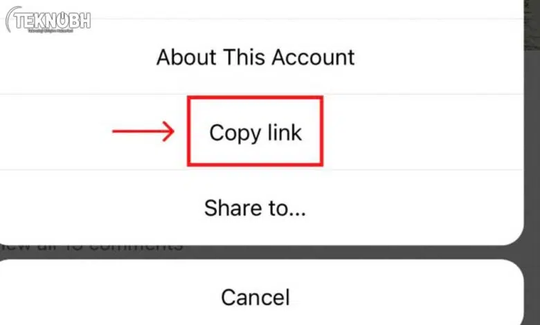Instagram Link Kopyalama