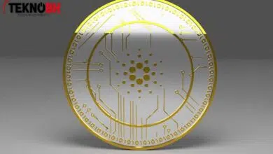 Ada Coin Geleceği 2022 ✔️ Ada Coin Yorumları