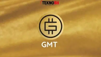 GMT Coin Nedir?