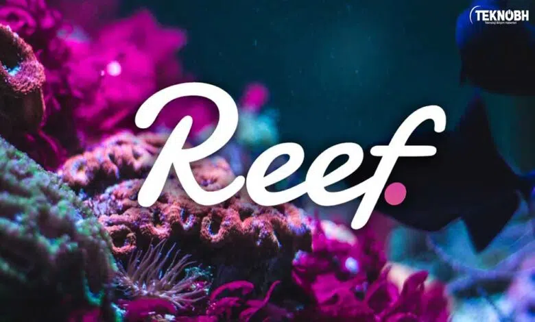 Reef Coin Nedir? Reef Coin Geleceği ✔️ 2022