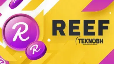 Reef Coin Nedir? Reef Coin Geleceği ✔️ 2022