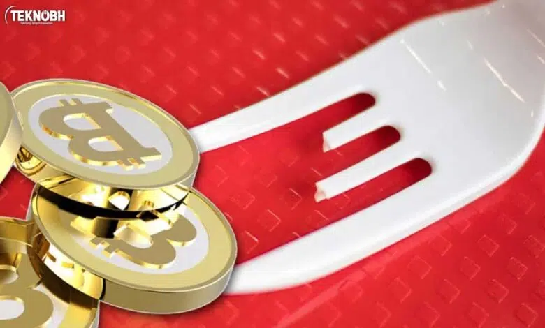 Hard Fork ve Soft Fork Nedir? Ne Anlama Geliyor? ✔️ 2022