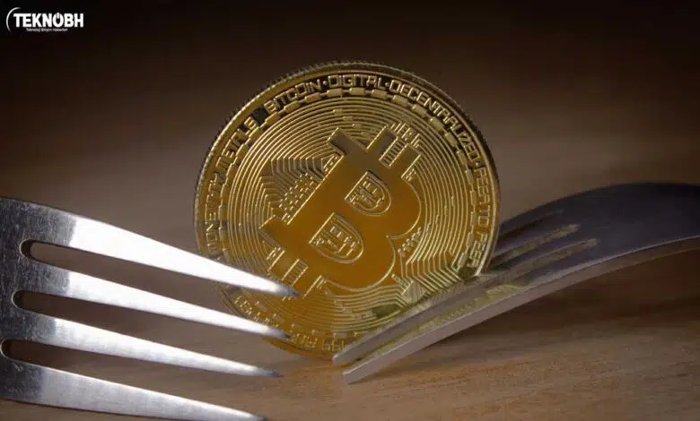 Hard Fork ve Soft Fork Nedir? Ne Anlama Geliyor? ✔️ 2022