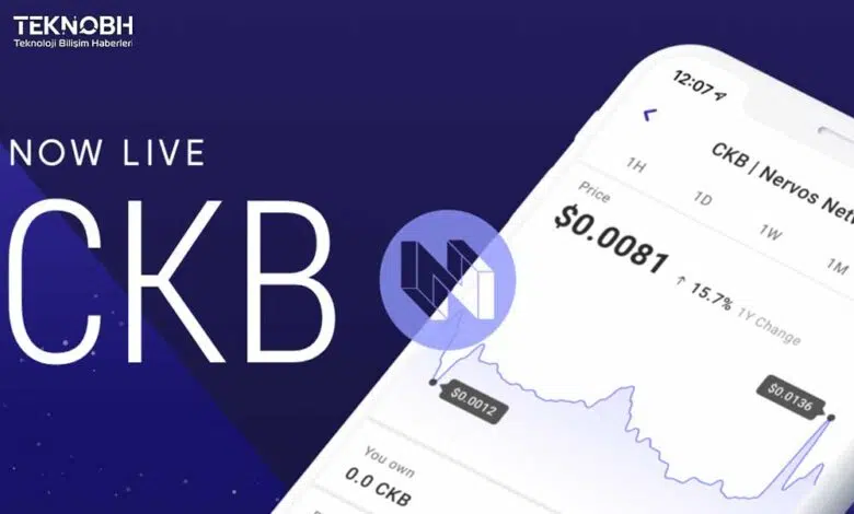 CKB Coin Nedir? CKB Coin Geleceği ✔️ 2022