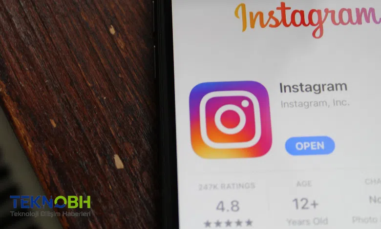 Instagram Fake Hesap Kapatma Formu