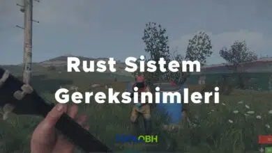 Rust Sistem Gereksinimleri