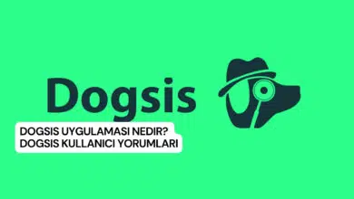 Dogsis Uygulaması Nedir? Dogsis Kullanıcı Yorumları