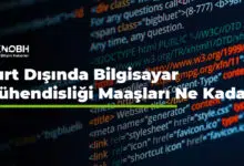 Yurt Dışında Bilgisayar Mühendisliği Maaşları Ne Kadar?