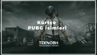 Kürtçe PUBG İsimleri